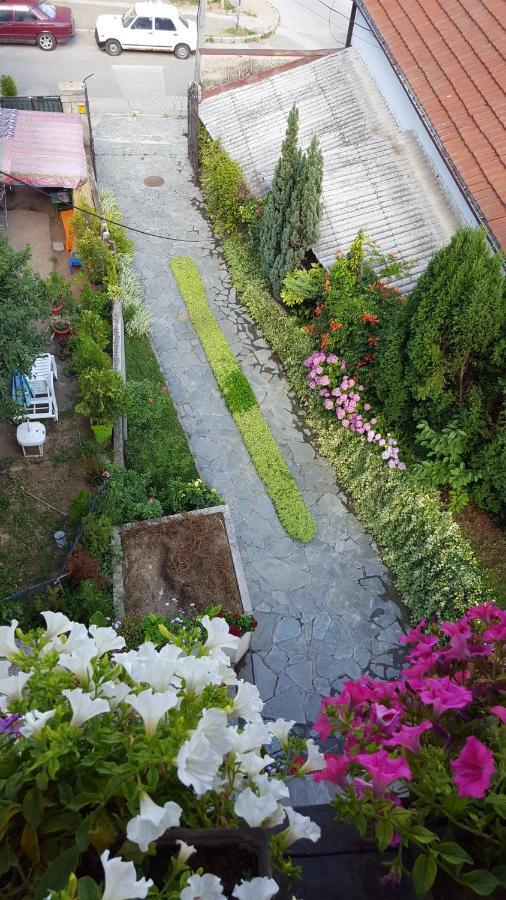 Vila Sentic 브라네 외부 사진