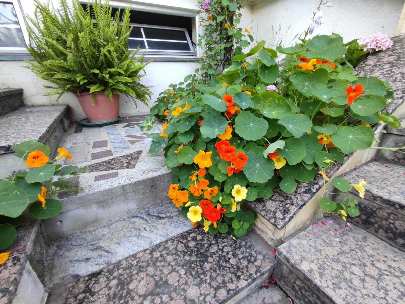 Vila Sentic 브라네 외부 사진