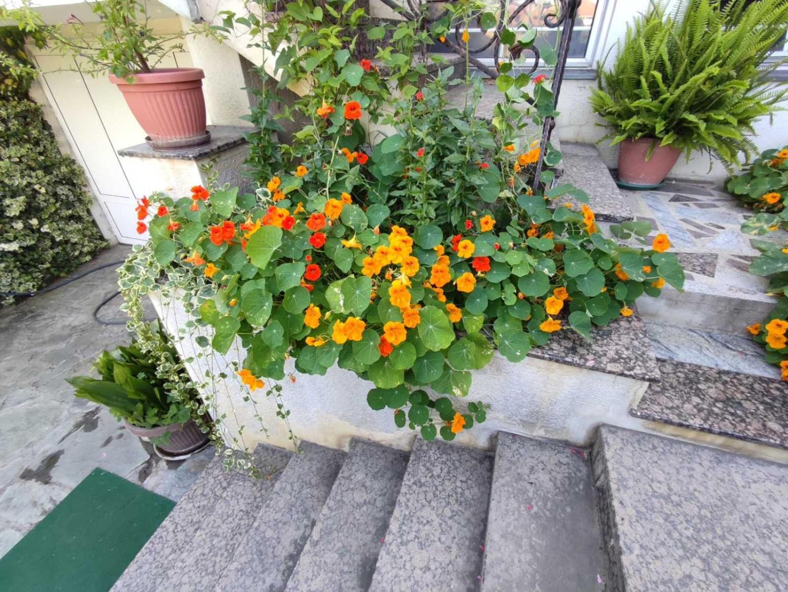 Vila Sentic 브라네 외부 사진