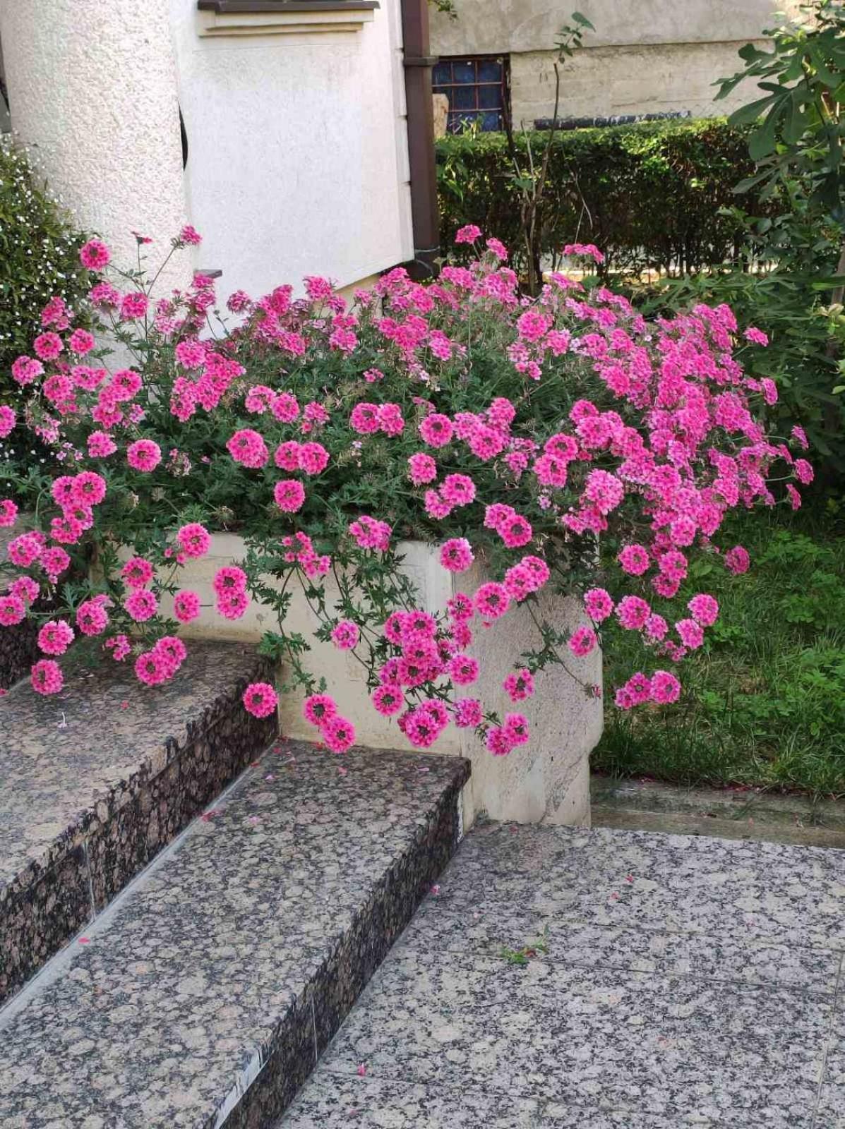 Vila Sentic 브라네 외부 사진