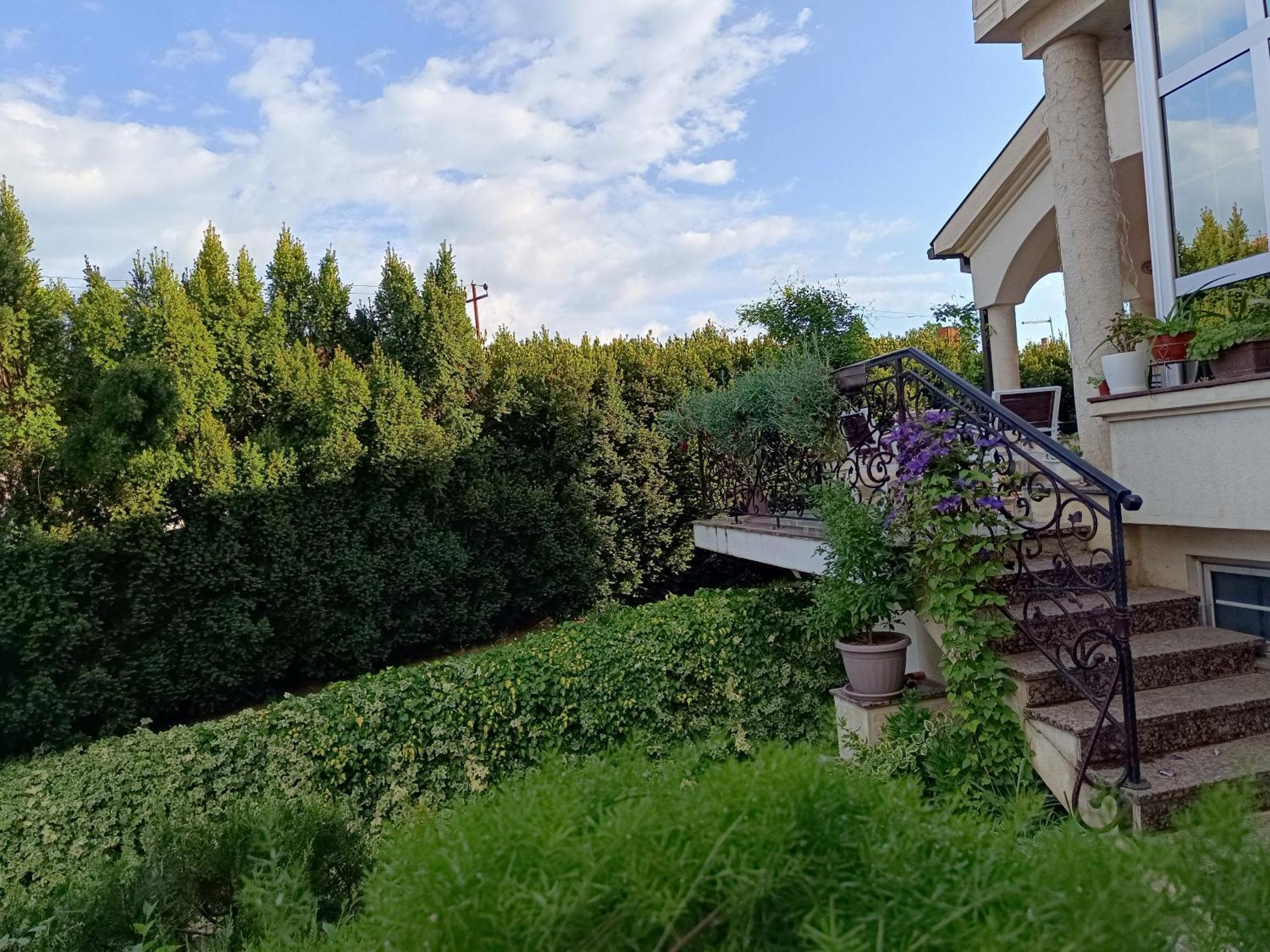 Vila Sentic 브라네 외부 사진