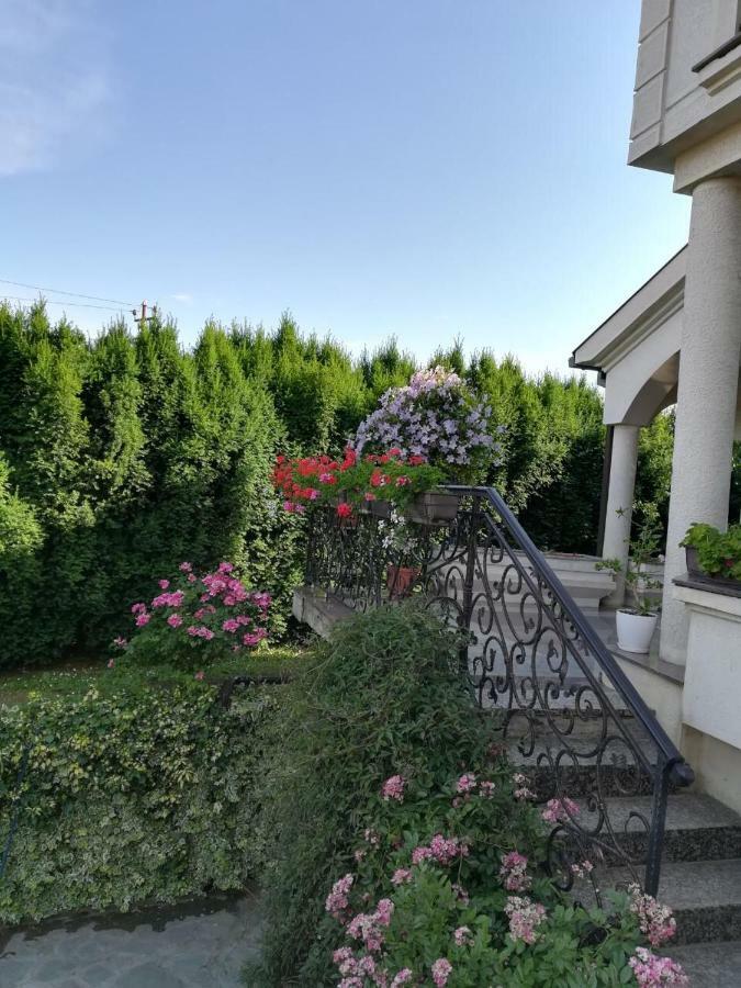 Vila Sentic 브라네 외부 사진