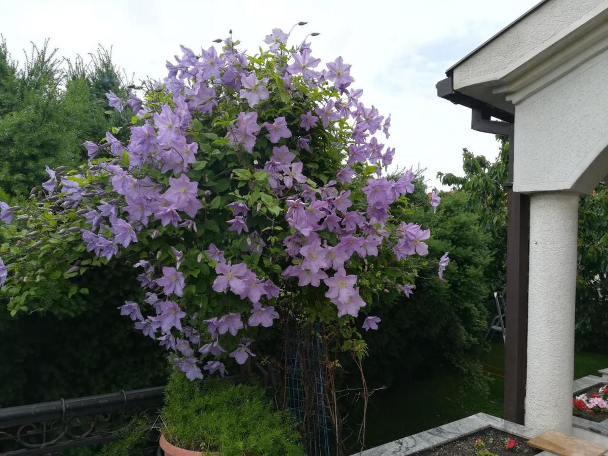 Vila Sentic 브라네 외부 사진